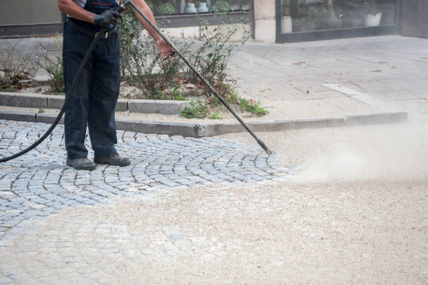 Best Driveway Pressure Washing  in Port Ludlow, WA